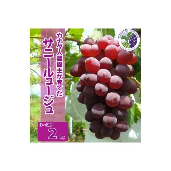 【カナダ人農園主の真心を込めた】サニールージュ2kg