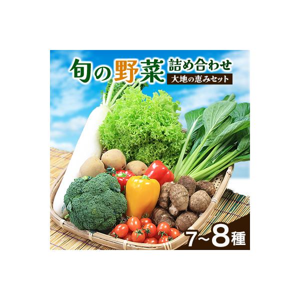 【空の駅 風和里しばやま】旬野菜の詰め合わせ「大地の恵みセット」7～8種