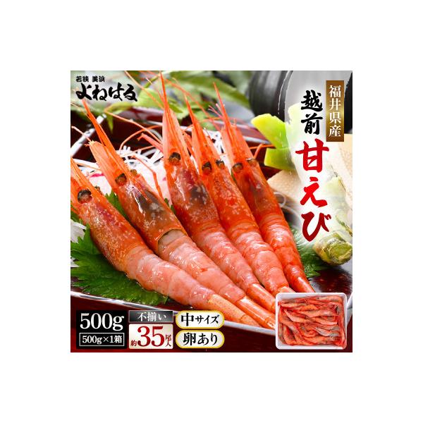 【300箱限定】大好評!越前甘エビ【卵あり中サイズ】約35尾/1箱
