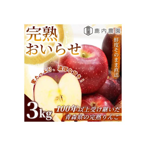 【蜜入りで濃厚な甘さ】りんご 「完熟おいらせ」(冷蔵) 約3kg (約8～11個) 青森市 産地直送