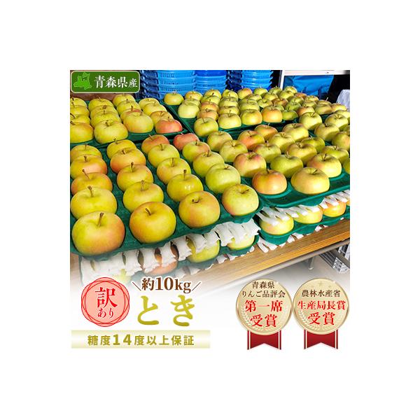 「とき」約10kg・糖度14度以上保証・訳あり家庭用りんご