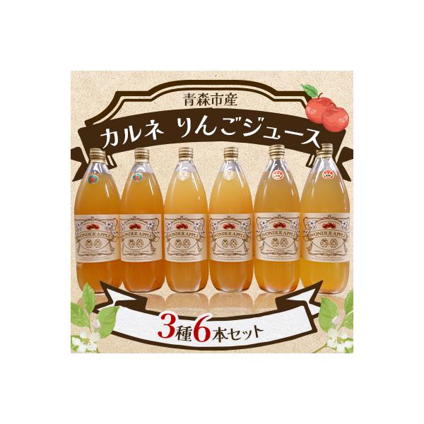 青森市産　カルネ　りんごジュース　3種6本セット