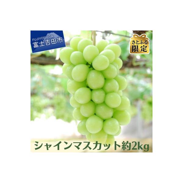 【さとふる限定】果樹王国 やまなし から シャインマスカット約2kg(2～5房)