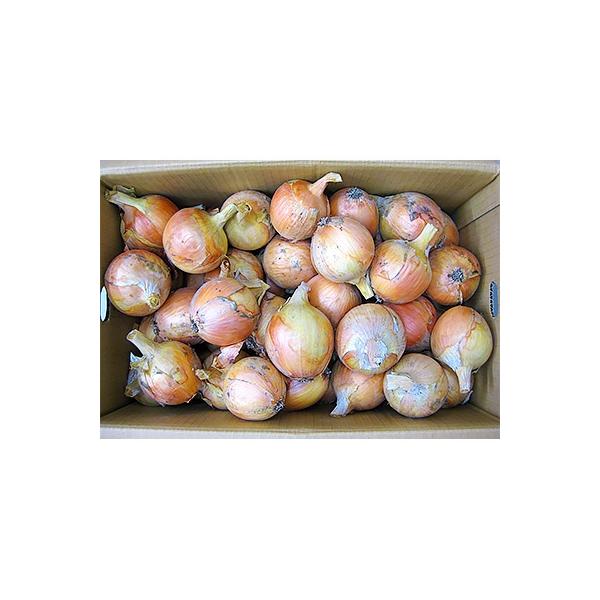 ■お礼品詳細　・提供元：（株）五色青果（三豊市）■お申し込み・配送・その他　・発送時期：2026-06-13〜2026-07-31(お届け時間帯指定可)　・申込受付期間：2025-08-10〜2026-07-04　・配達外のエリア：　・寄付...