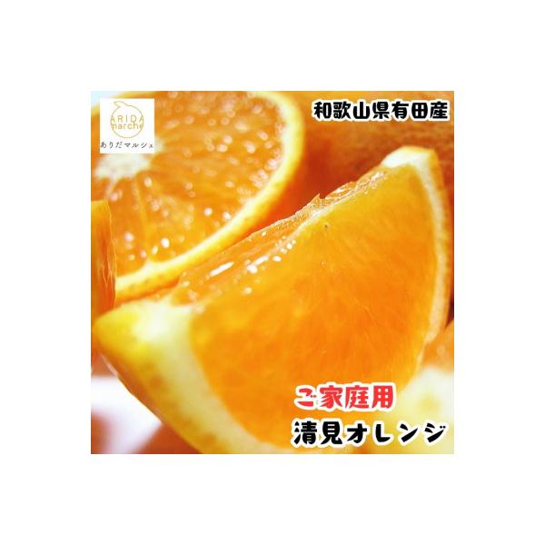 ≪先行予約 2027年2月～発送≫有田育ちの完熟清見オレンジ(ご家庭用)　5kg