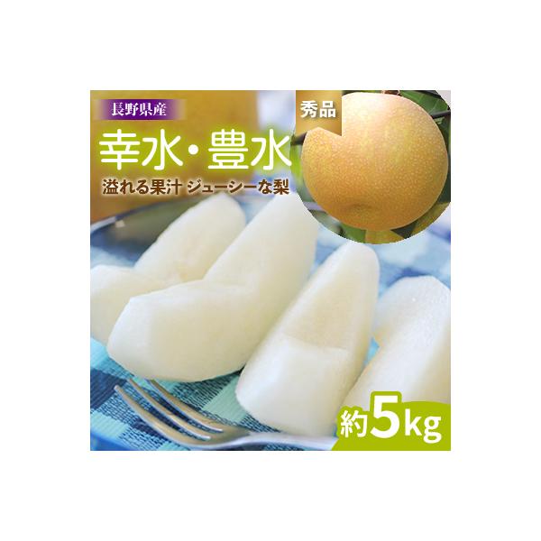 ■お礼品詳細　・賞味期限：7日　・配送種別：冷蔵便　・提供元：山下屋荘介（飯田市）■お申し込み・配送・その他　・発送時期：2026-08-21〜2026-09-20(お届け時間帯指定可)　・申込受付期間：2025-12-01〜2026-03...