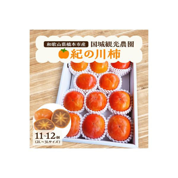 【2026年度発送分】国城観光農園の紀の川柿11～12個(2L～3Lサイズ)