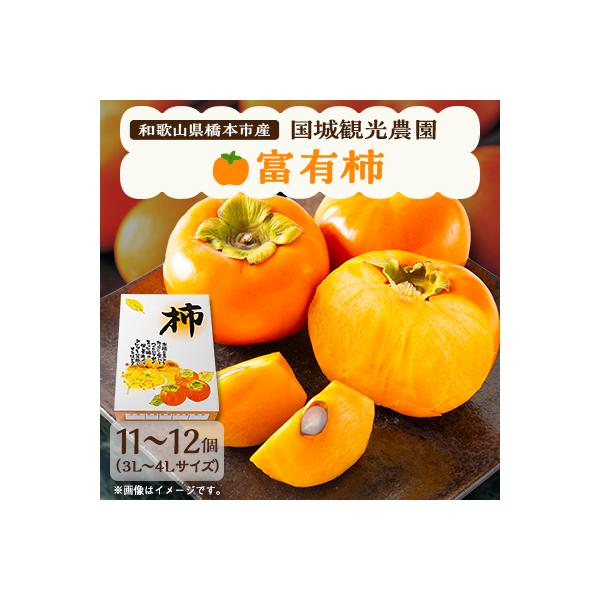 国城観光農園の富有柿11～12個(3～4L)