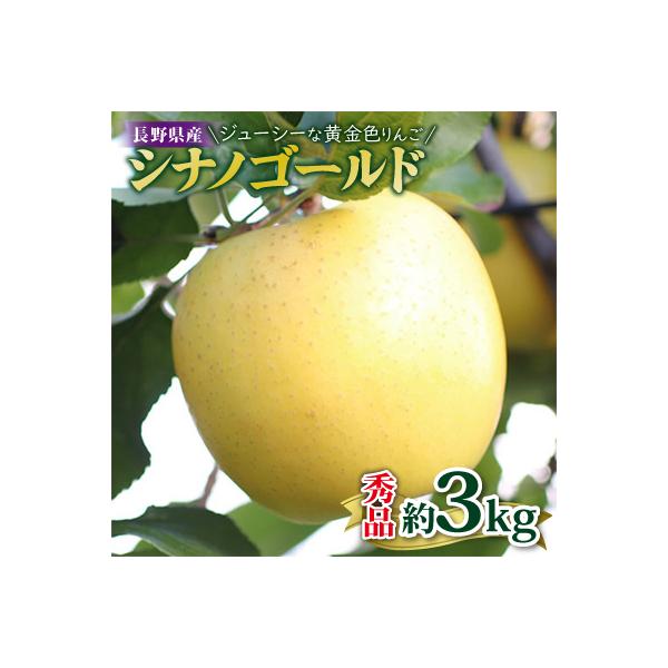 ジューシーな黄金色りんご(シナノゴールド) 約3kg 秀品〈2026年10月下旬～11月下旬発送〉