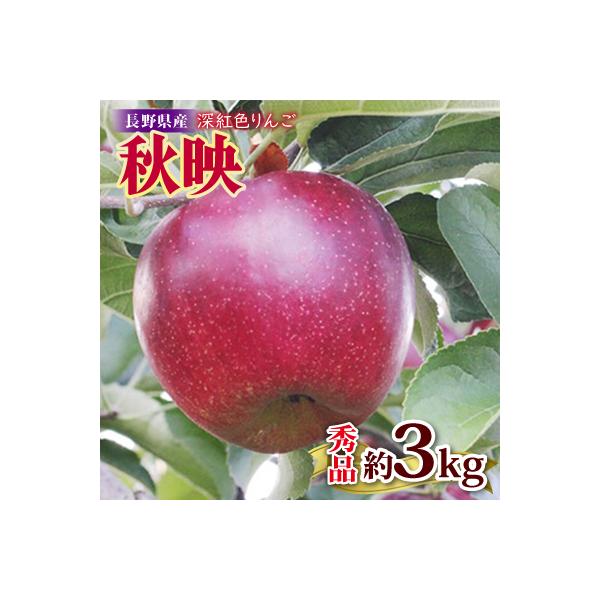 芳醇な香り長野県産・深紅色りんご(秋映) 約3kg 秀品〈2026年9月下旬～10月中旬発送〉