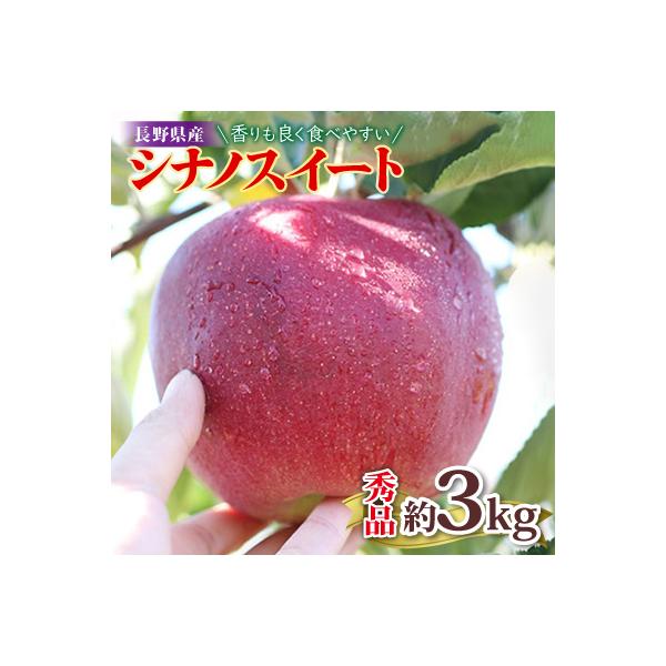 香りも良く食べやすい!長野県産シナノスイート(約3kg)秀品〈2026年10月中旬～11月中旬発送〉
