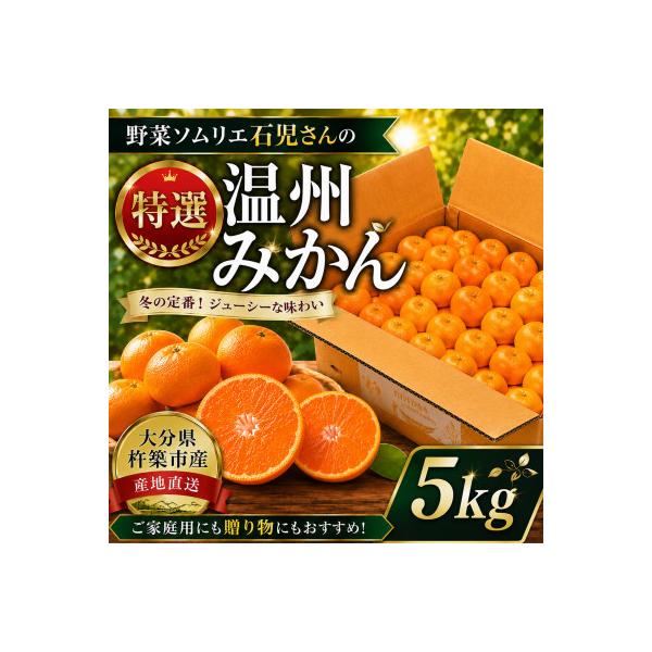 野菜ソムリエが育てた九州・大分県杵築産「特選 温州みかん」5kg(M、L玉)
