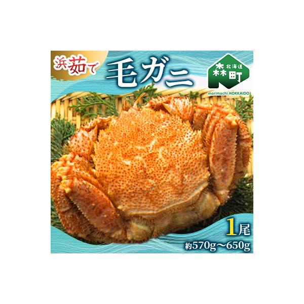 【北海道産】 浜ゆで毛ガニ×1尾