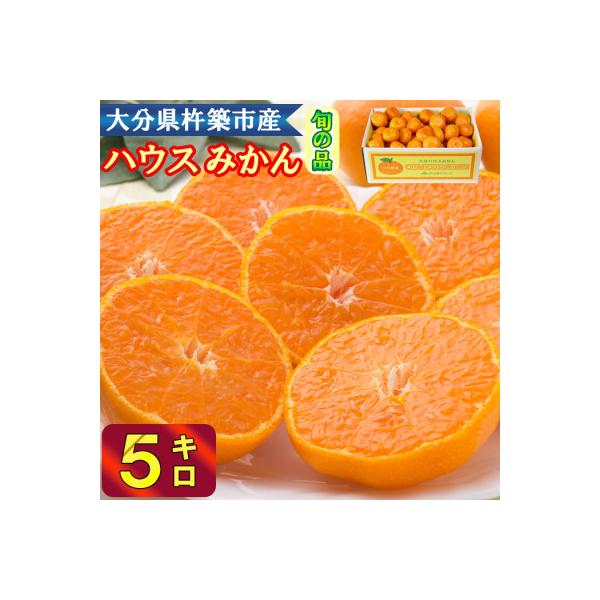 冷やしてひんやり!甘さ広がるハウスミカン!約5kg入り(バラ詰め)