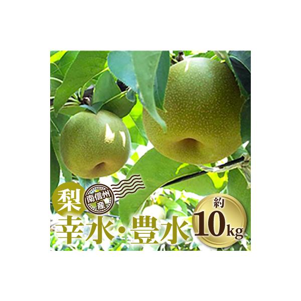 南信州産「梨」約10kg＜幸水・豊水＞