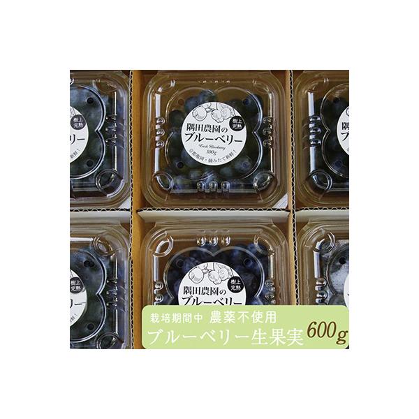 朝摘み完熟ブルーベリー生果実　600g・栽培期間中農薬不使用【すだ農園】※7月中旬頃より順次発送