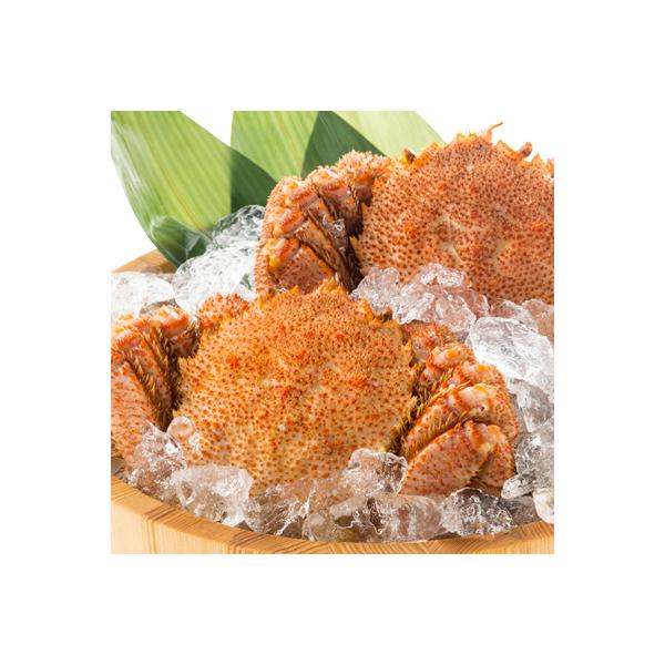 【厳選三特品】北海道噴火湾産毛ガニ 450g前後×2杯 海鮮 北海道 八雲町