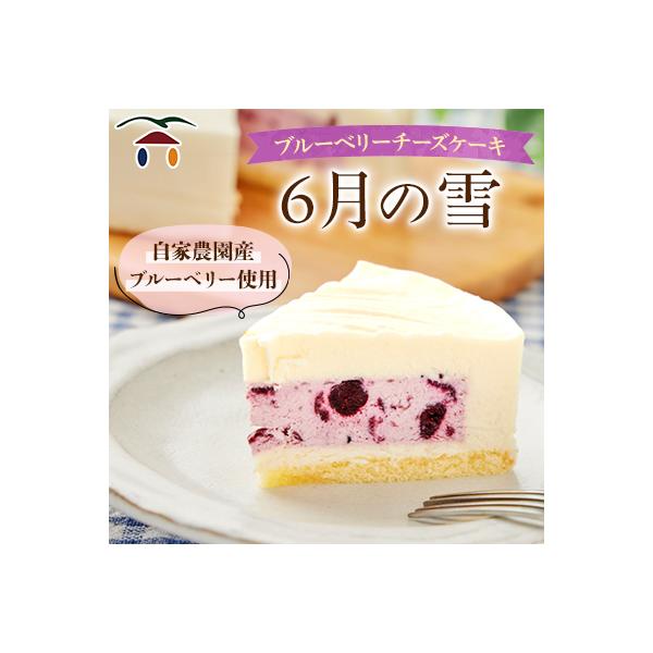 ブルーベリーチーズケーキ　6月の雪