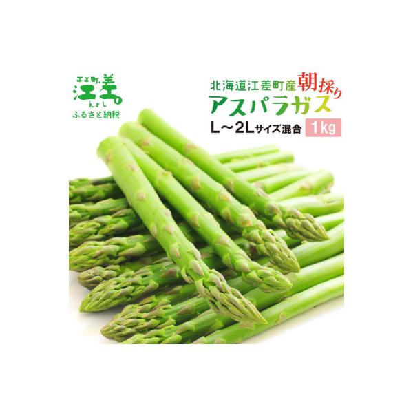 北海道江差町産 アスパラガス 1kg　L～2Lサイズ　朝採り農家直送