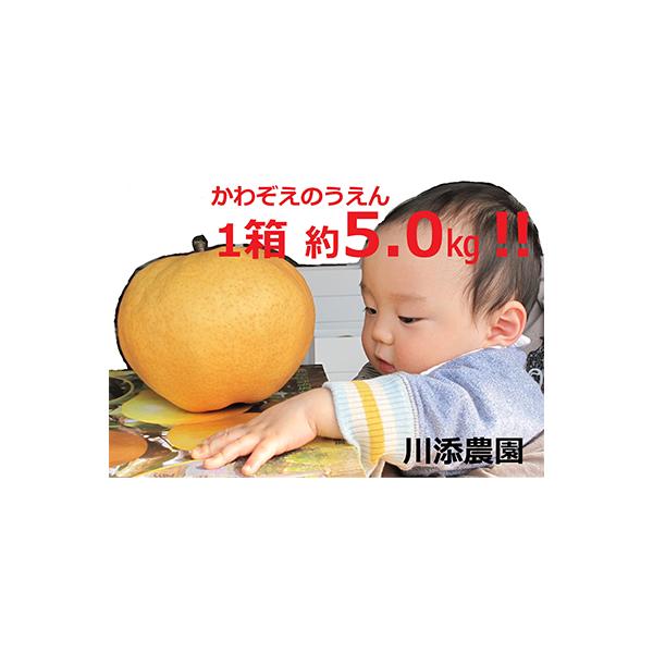 ■お礼品詳細　・賞味期限：約2週間　・提供元：川添農園■お申し込み・配送・その他　・発送時期：2025-10-20〜2026-02-15　※年末年始は発送までにお時間をいただく場合がございます(お届け時間帯指定可)　・申込受付期間：〜202...