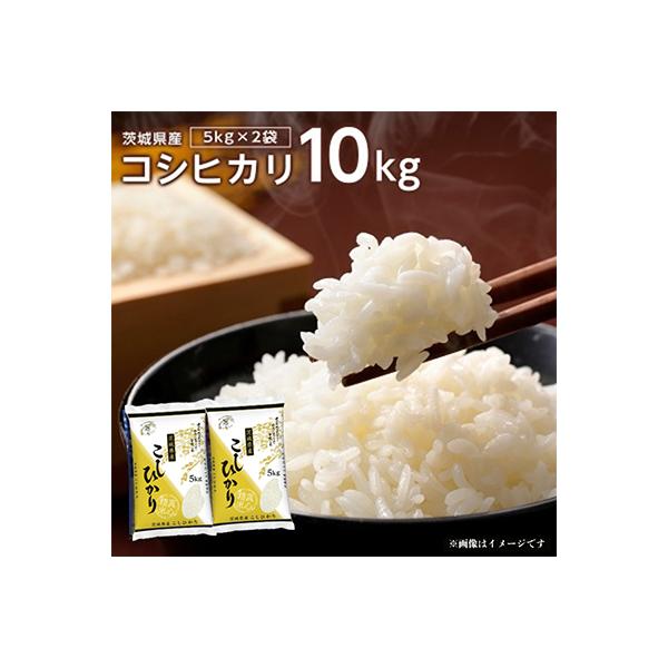 【令和7年産】代表的なお米　茨城県産コシヒカリ10kg