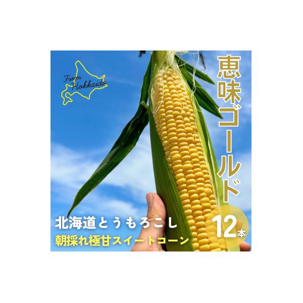 朝もぎ直送|Ambitious Farm　極甘スイートコーン　12本【2026年7月下旬より発送】