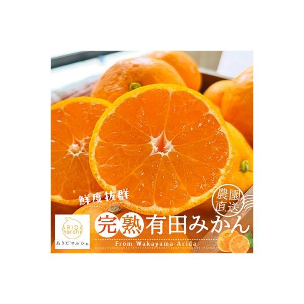 《先行受付・2026年11月～発送》農家直送 完熟有田みかん　5kg　サイズ混合