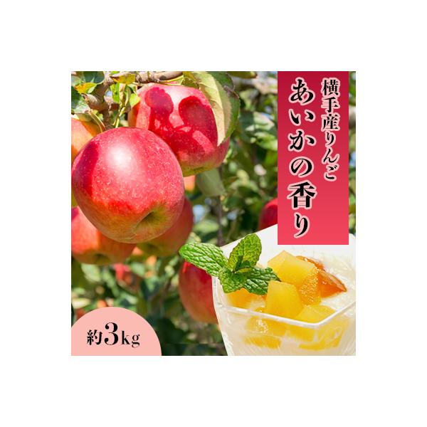 ご家庭用 希少品種!強い甘み　横手産りんご【あいかの香り】約3kg