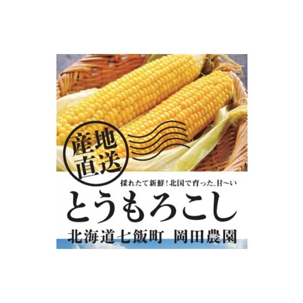 先行受付〈2025年7月より発送開始〉北海道七飯町産とうもろこし「ゴールドラッシュ」 18本セット