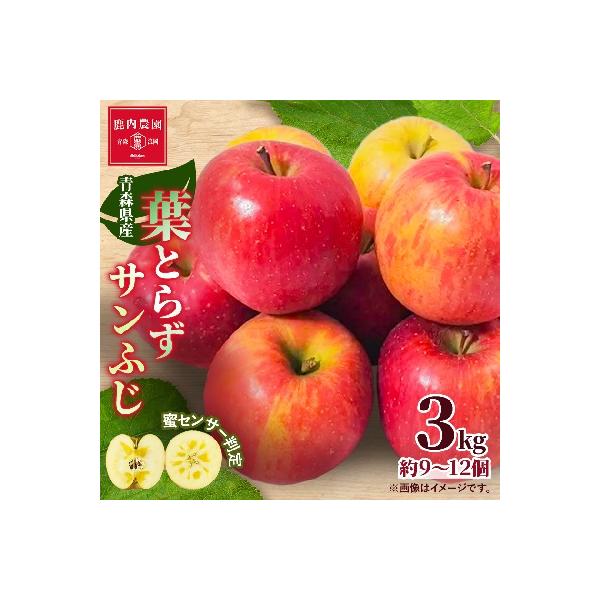【甘くてみずみずしい】 りんご 葉取らずふじ 蜜入判定 約3kg (約9～12個) 青森市 産地直送