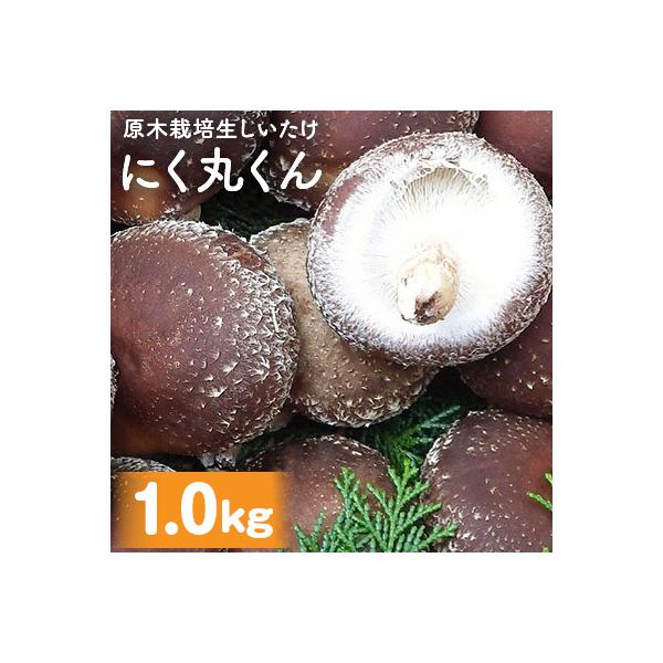 熊本県人吉市産　原木栽培生しいたけ「にく丸くん」約1kg
