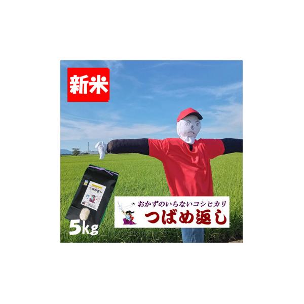 【8年産新米先行予約】おかずのいらないコシヒカリ「つばめ返し」白米5kg