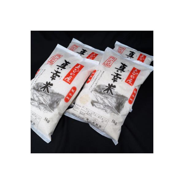 ふるさと納税 えびの市 令和6年産宮崎県えびの市産ヒノヒカリ