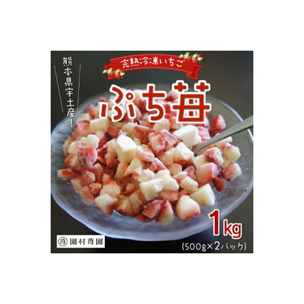 熊本県宇土産　完熟冷凍いちご「ぷち苺」1kg(500g×2袋) 園村苺園