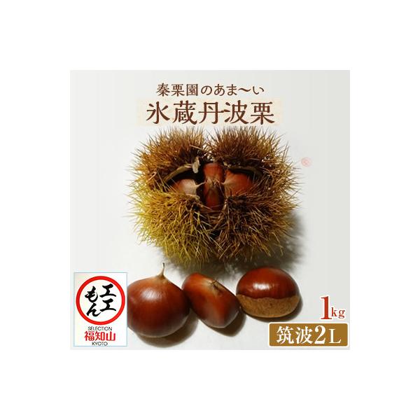 秦栗園のあま～い氷蔵丹波栗 筑波2L 1kg【熟成】生栗 大粒 10月下旬発送