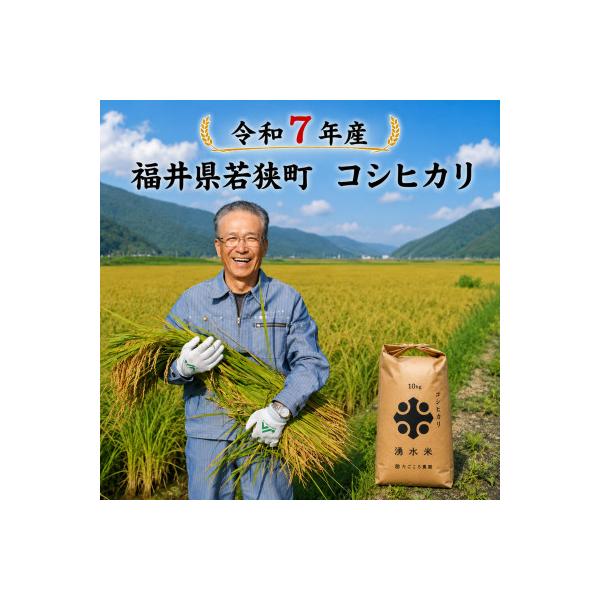 【 令和7年産 】福井県若狭町 コシヒカリ 　10kg