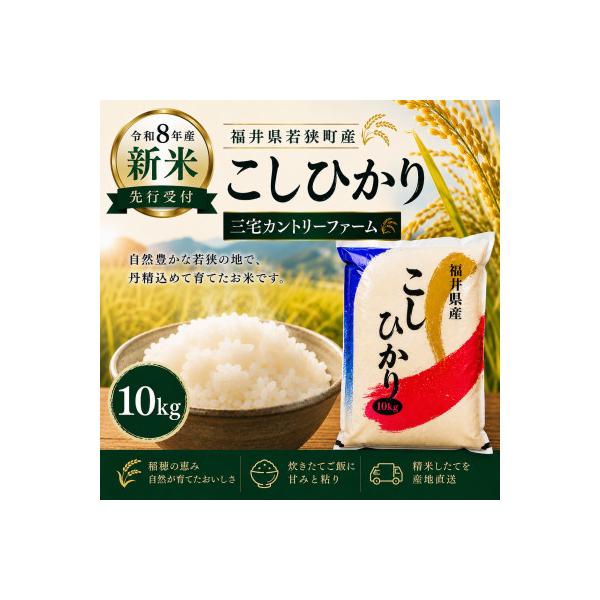 【令和8年産】 福井県若狭町コシヒカリ(1等米)10kg　10月より順次発送