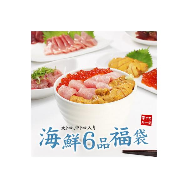 から厳選した ふるさと納税 いわき市 豪華海鮮6品福袋 大トロ 中トロ 生ウニ イクラ ネギトロ 鮪漬け 海鮮丼や手巻き寿司に マグロのカネヨシ 送料無料 海鮮贅沢 福袋セット(大トロ100g ウニ100g イクラ80g 旬のまぐろ中落ち赤身100g ネギトロ100g) 合480g お取り寄せグルメ 父の日 ギフト 海鮮丼 大トロ 赤身 お正月 刺身 まぐろ 鮪 福袋 海鮮セット 海鮮