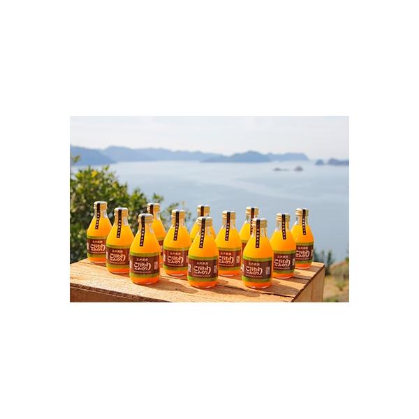 主井農園のこだわりnoみのりジュース　180ml 15本セット