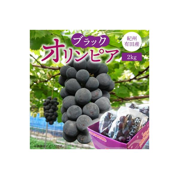 <先行受付>紀州有田産ブラックオリンピア(ハチミツぶどう)　約2kg