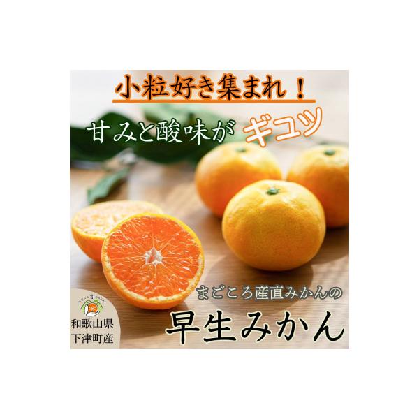 小粒早生みかん5kg (S～3S混合)和歌山県のまごころ産直みかんより新鮮な果実を産地直送します