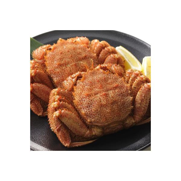 森町 ふるさと納税 年3月発送 北海道近海産 産地直送 浜茹で毛ガニ 2尾 Monroesrestaurant Net