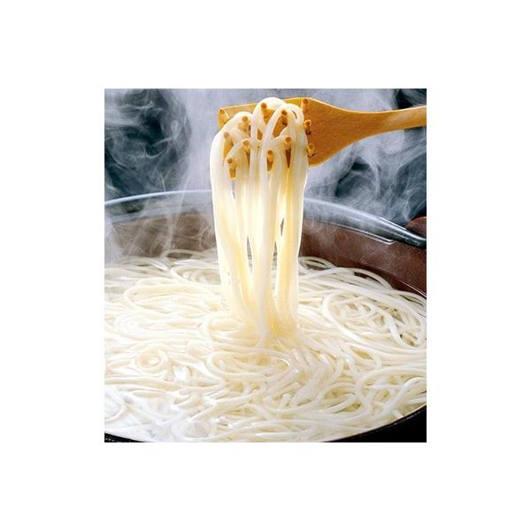 新上五島町　五島うどん200g×8袋、あごだしスープ10g×10袋セット