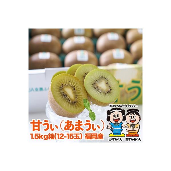 入荷中 ふるさと納税 春日市 福岡限定 ブランドキウイ 甘うぃ あまうぃ 約3kg箱 24-30玉 notimundo.com.ec 入荷中 ふるさと納税 春日市 福岡限定 ブランドキウイ 甘うぃ あまうぃ 約3kg箱 24-30玉 notimundo.com.ec
