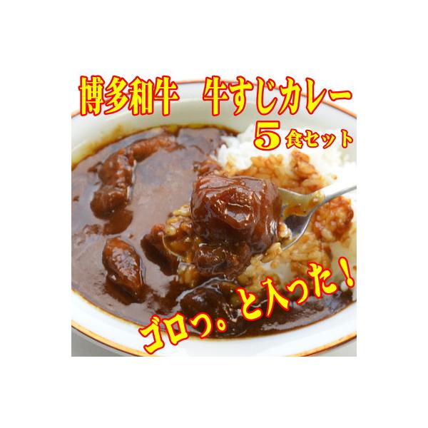 【博多和牛】ゴロッ!と入ったコラーゲン牛すじカレー5食セット　常温長期保存可能なのに本格派のカレー