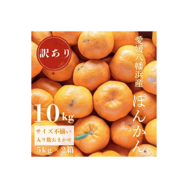 【南国を感じさせる独特の香り】訳あり 愛媛ポンカン 10kg【C20-13】