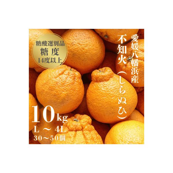 ＼糖度14.0以上酸1.4以下/糖酸選別品 愛媛産 不知火 (しらぬひ) 10kg【D20-8】