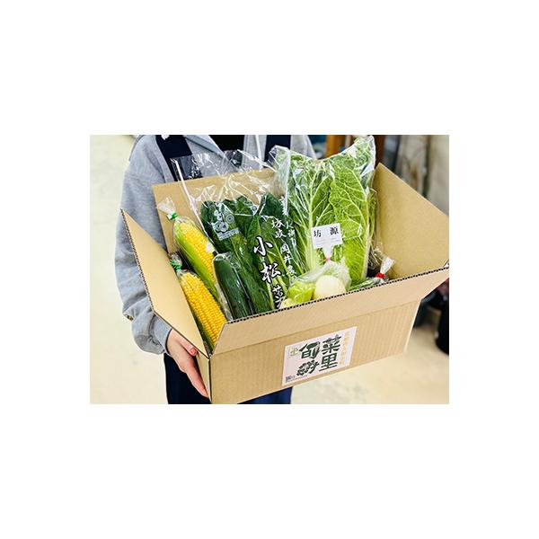 季節の京都府久御山野菜詰合せ