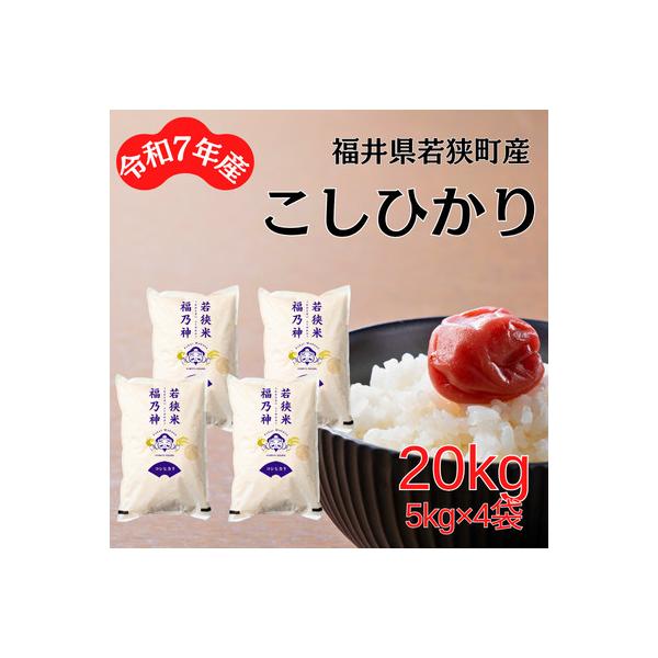 【令和7年産】福井県若狭町コシヒカリ(1等米)　20kg(5kg×4袋)