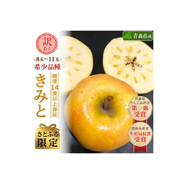【さとふる限定】【希少品種】「きみと」約3kg・糖度14度以上保証・訳あり家庭用りんご